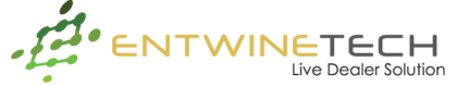 Abstract Partner